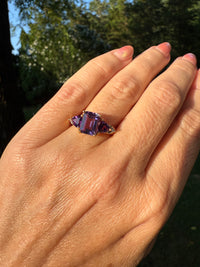 Hand wearing a purple amethyst ring with a blurred natural background